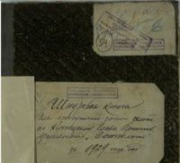 Шнуровая книга для ежесуточной записи золота по Кузнецкому Главному приисковому управлению «Союззолото» за 1929 г.